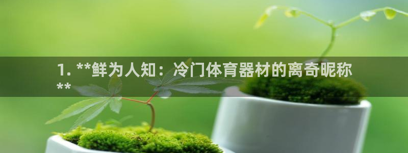 极悦牙膏怎么样好用吗:1. **鲜为人知:冷门体育器材的离奇