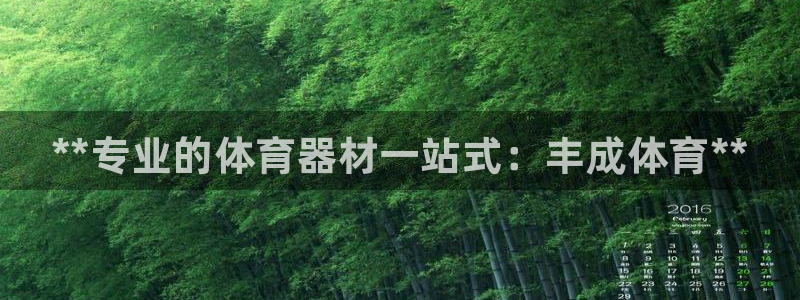 极悦益生菌猫粮怎么样:**专业的体育器材一站式:丰成体育**